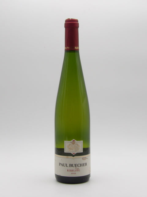 Riesling - 2020 - Paul Buecher
