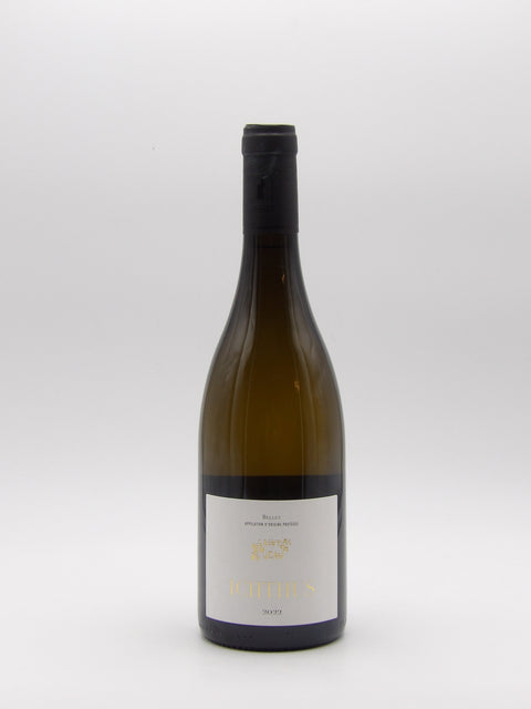 Ichtus - 2022 - Domaine Saint-Jean