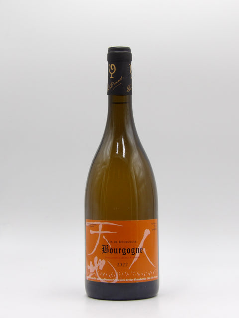 Bourgogne - 2022 - J.M. Fourrier