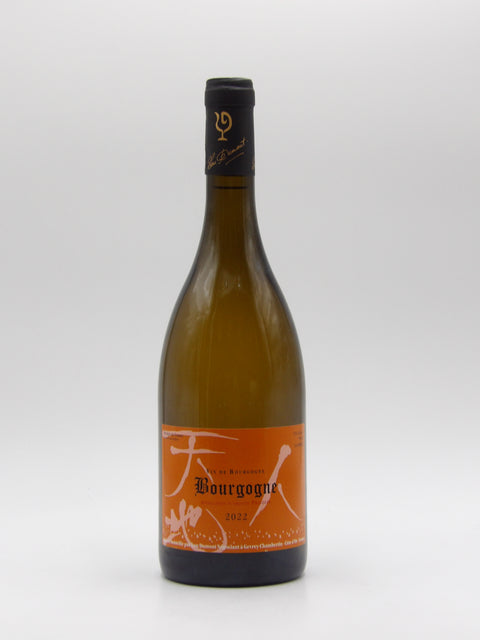 Bourgogne Blanc - 2022 - Lou Dumont