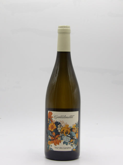 Cantalouette - 2024 - Famille de Conti