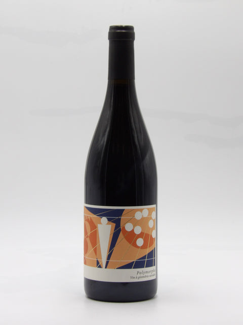 Polymorphe -  2022 - Famille de Conti